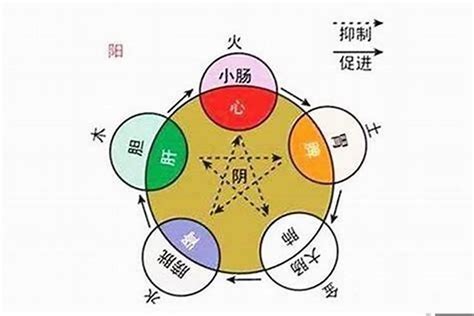 阴金|命理八字的阴金是什么意思 (五行中什么是阴金和阳金)